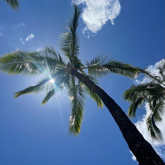 Meet your Posher, BeachySD - Picture 10 of 16